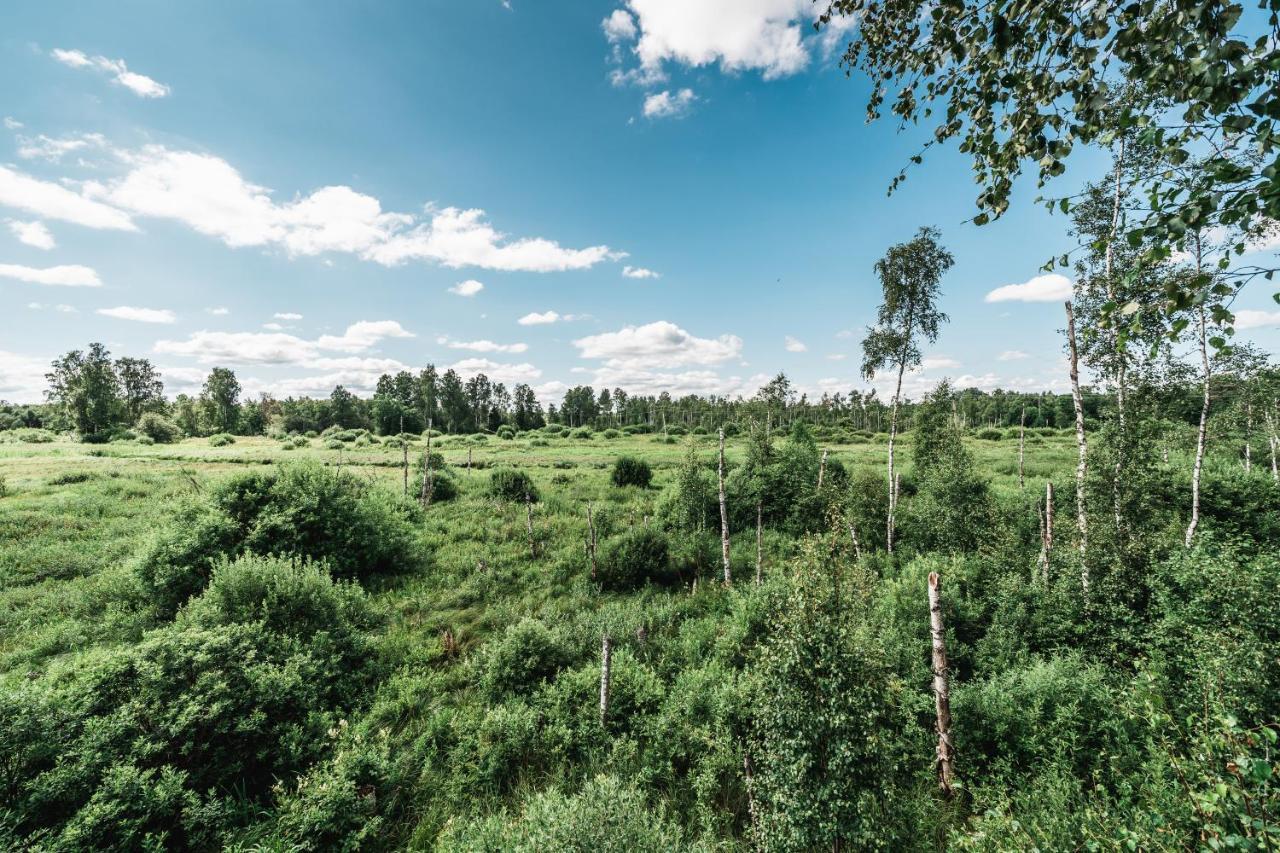 Maidla Nature *